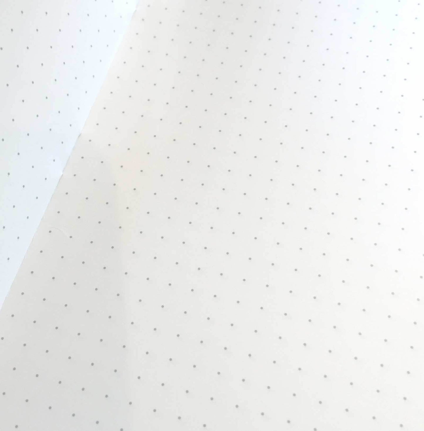 Expedition Memo Book