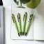 Slim Bolt Action Pen - Sprout Seasonal Release